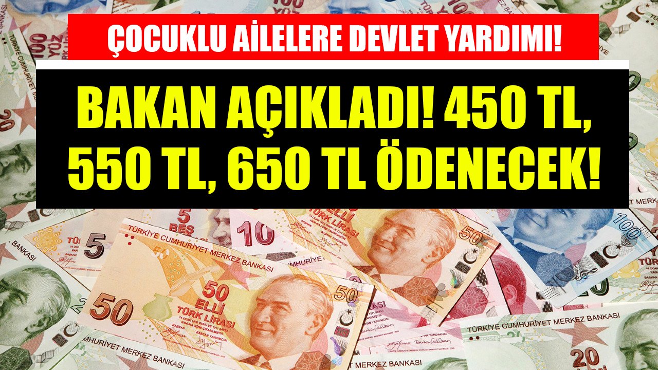 Çocuklu ailelere devlet yardımı, Bakan açıkladı! 450 TL, 550 TL, 650 TL aylık ödeme yapılacak!