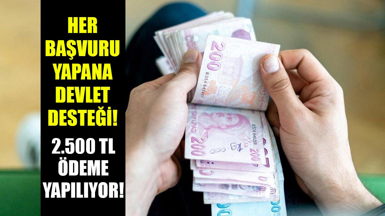 Her başvuran alıyor, devlet ailelere destek veriyor! PTT şubelerinden 2.500 TL ödeniyor!