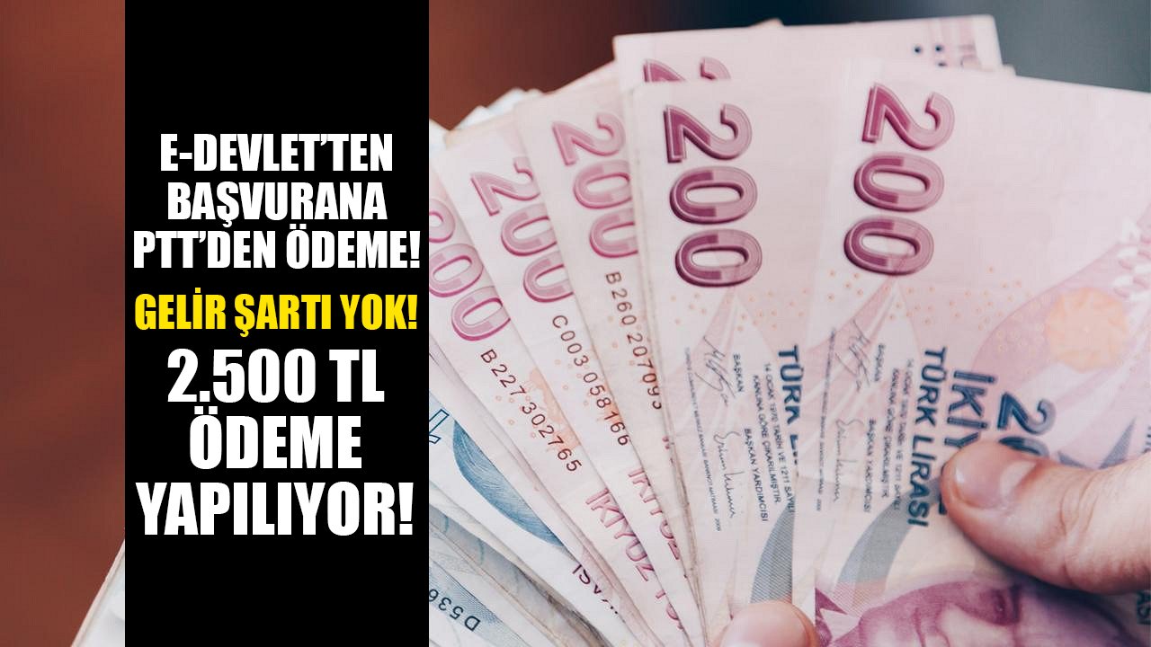 E-Devlet'ten başvuran PTT'ye gidip parasını alıyor! Gelir şartı yok, 2.500 TL ödeme yapılıyor!