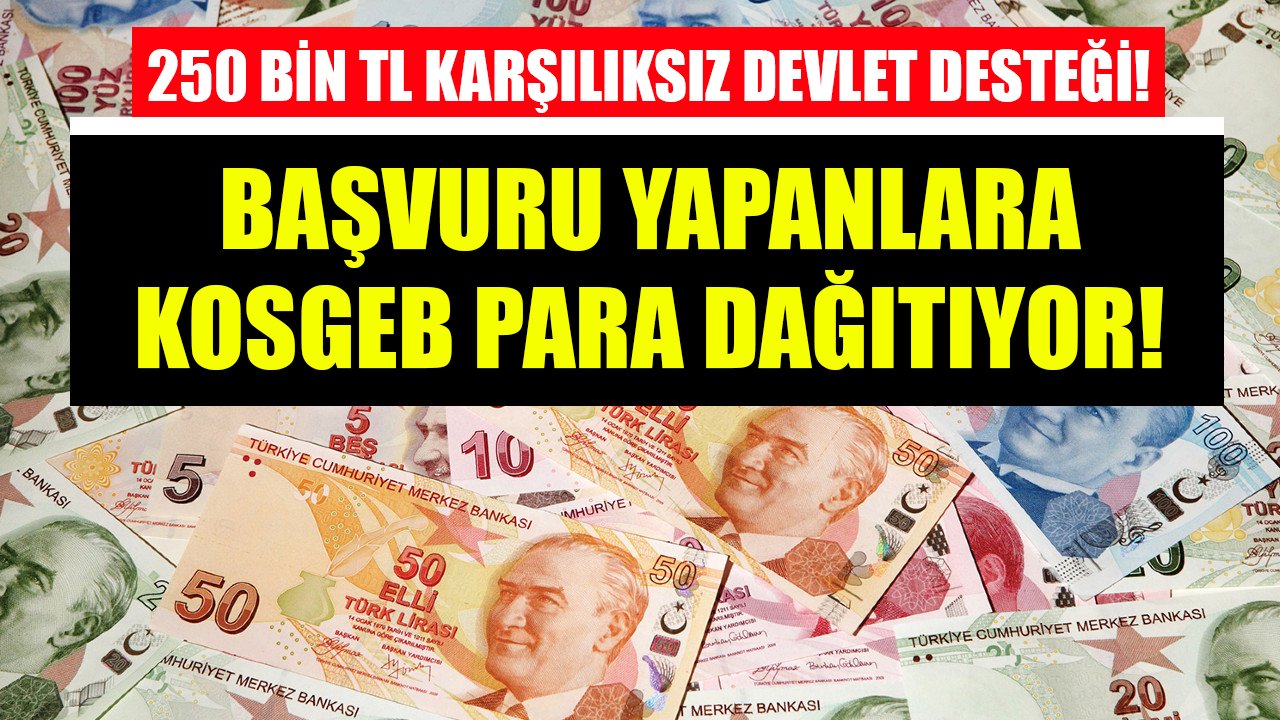 250 Bin TL karşılıksız devlet desteği! Bu meslekleri yapıyorsanız KOSGEB para dağıtıyor!