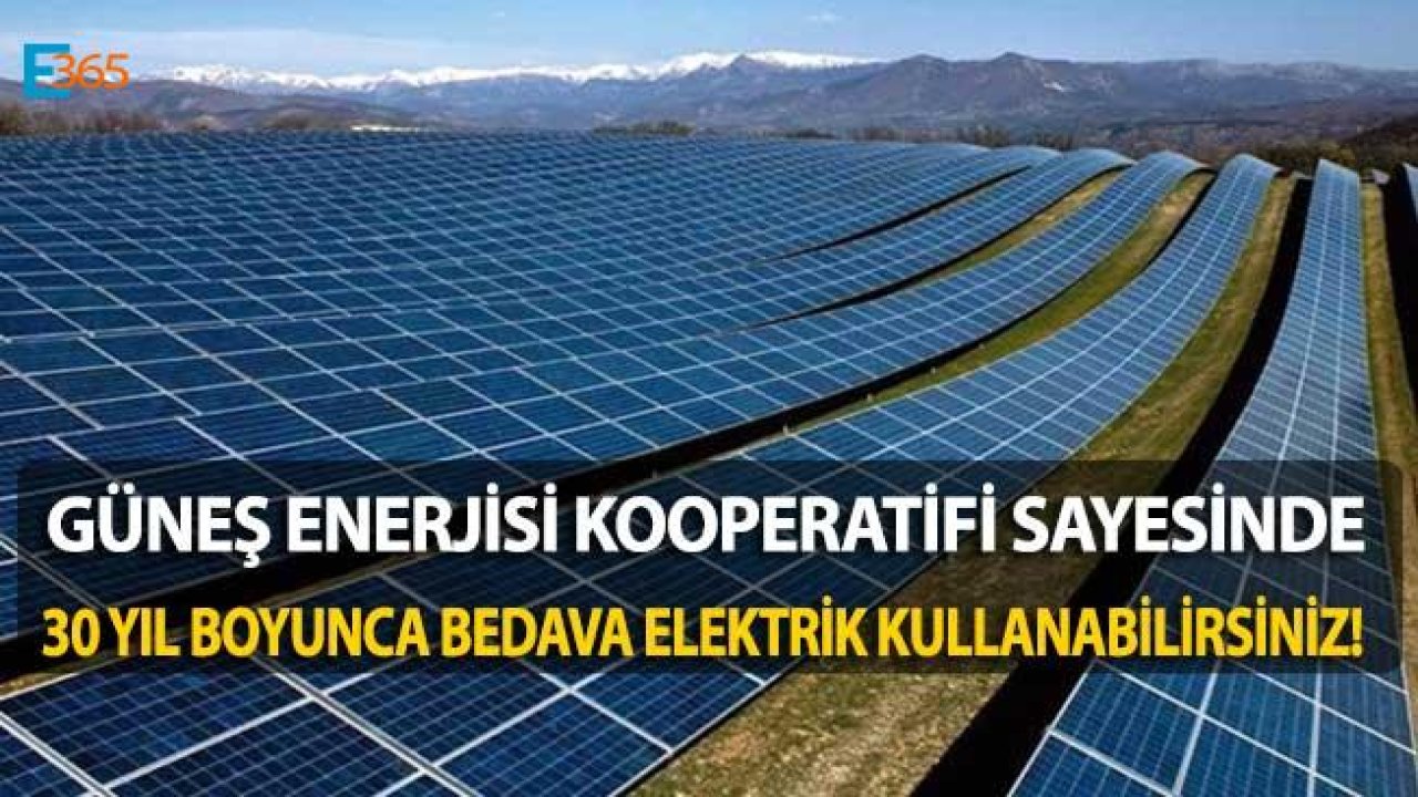 Yeni Trend Enerji Kooperatifi! 30 Yıl Bedava Elektrik Kullanabilirsiniz