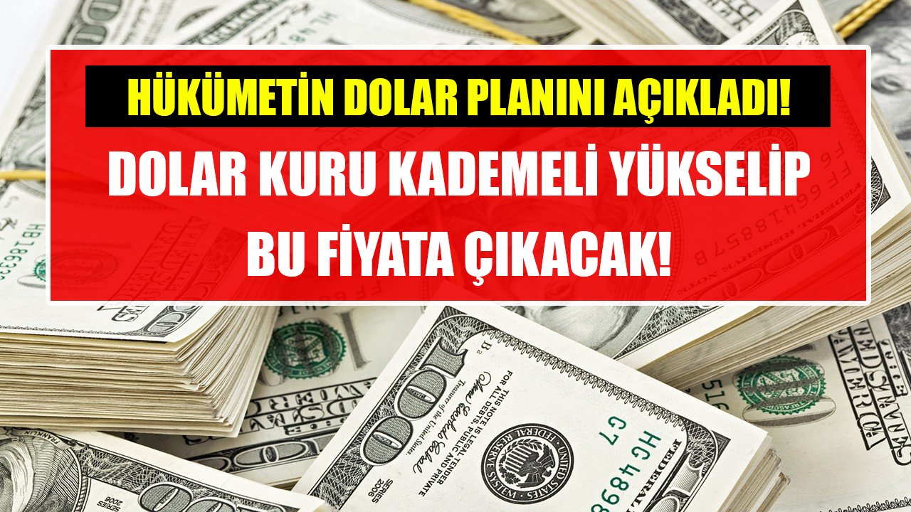 Remzi Özdemir hükümetin dolar planını açıkladı! Dolar kuru kademeli yükselip bu fiyata çıkacak!