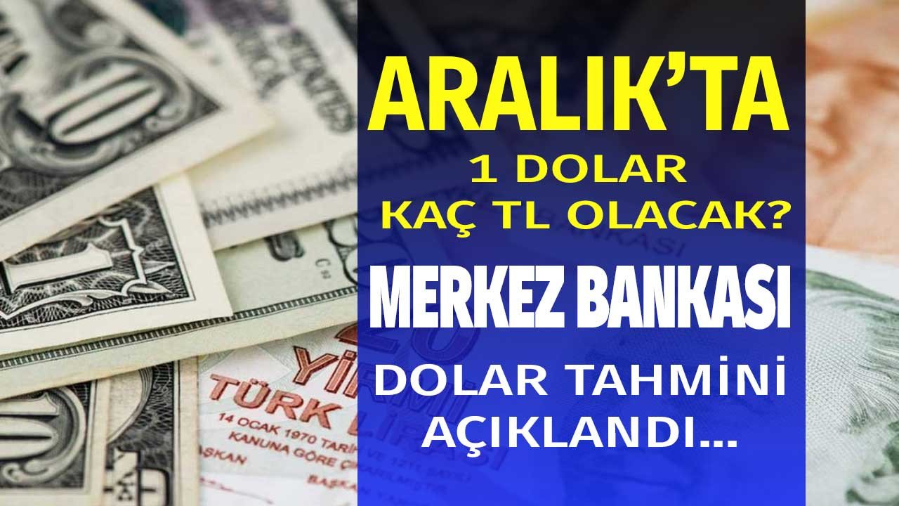 TL'nin patronu tartışmalara son noktayı koydu 1 ay sonra için Aralık ayı dolar kuru tahmini açıklandı!