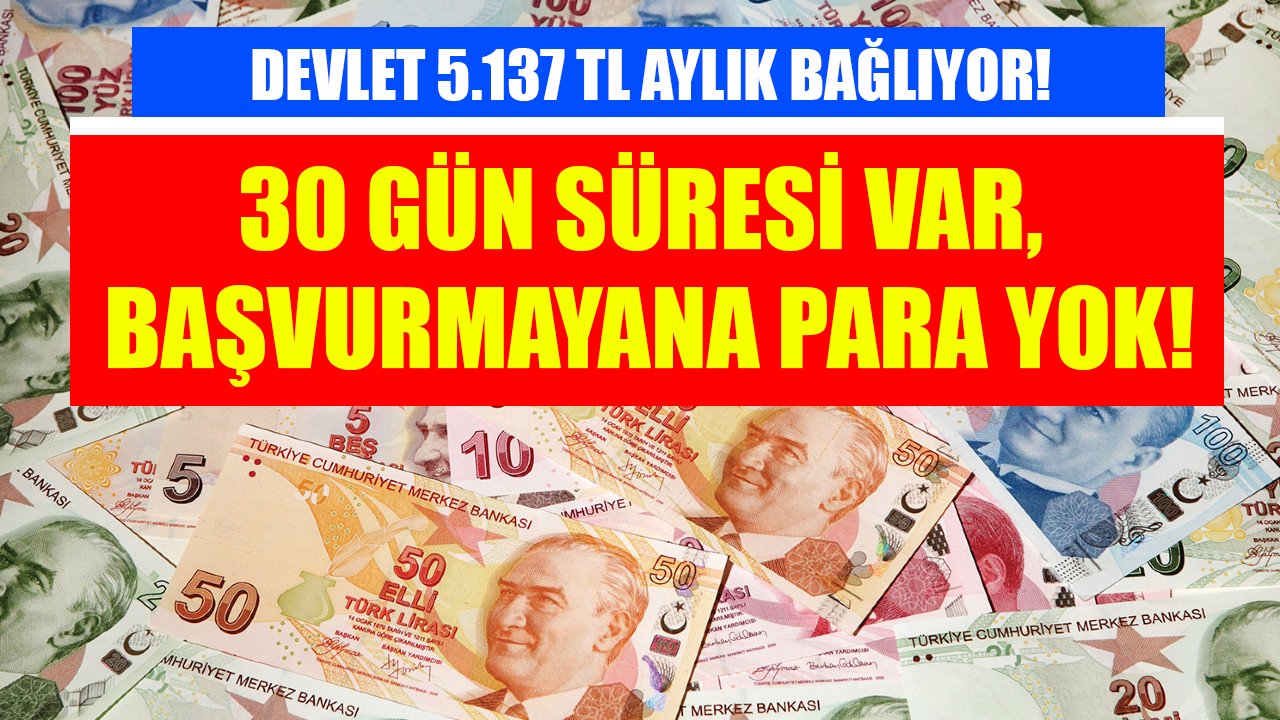 Devlet 5.137 TL aylık bağlıyor! 30 gün süresi var, başvurmayanın parası devlete kalıyor!