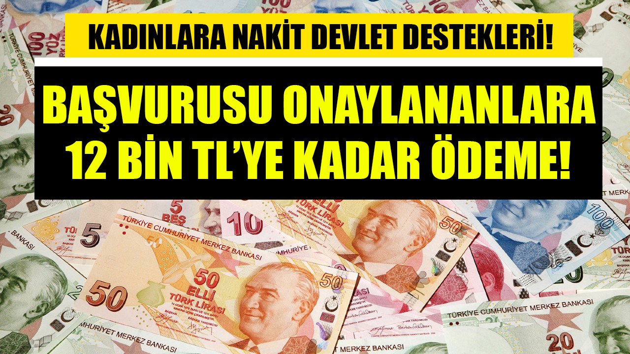 Kadınlara nakit devlet destekleri! Başvurusu onaylananlara 12 Bin TL'ye kadar ödeme!