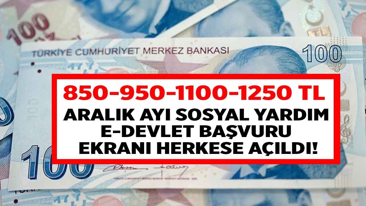 Bakanlık duyurdu Aralık ayı sosyal yardım e-Devlet başvuru ekranı açıldı 850 950 1100 1250 TL ödenecek!