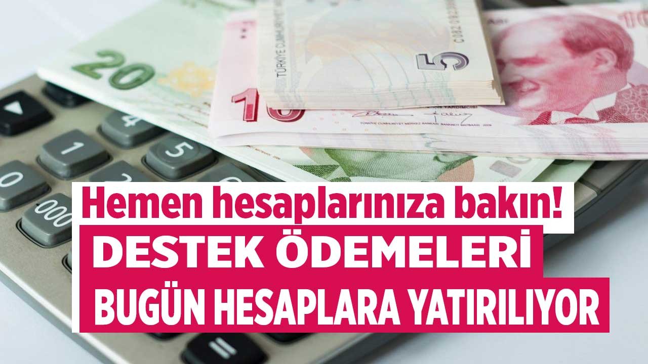 Bakanlık duyurdu hemen hesaplarınızı kontrol edin! Destekleme ödemeleri yatırılıyor