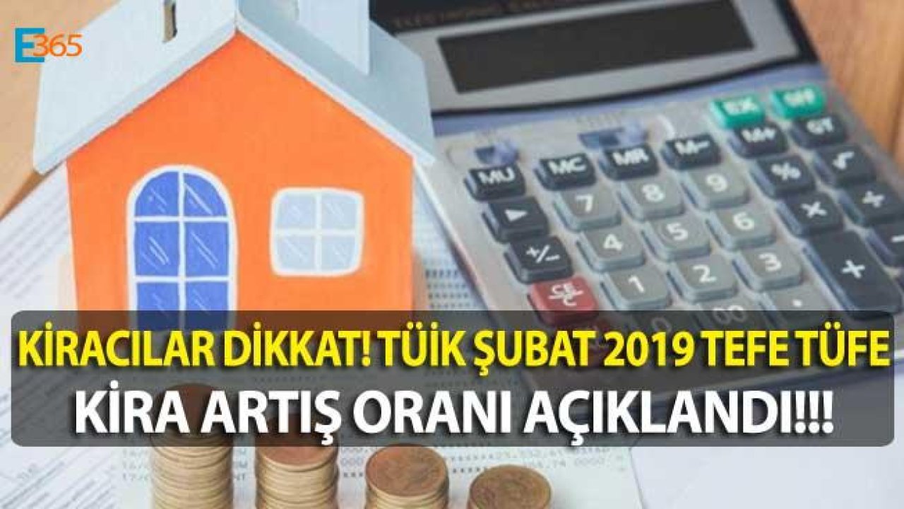 TÜİK Ocak Enflasyonu Açıklandı! Şubat 2019 TEFE TÜFE Kira Artışı Zam Oranları Kaç Oldu?