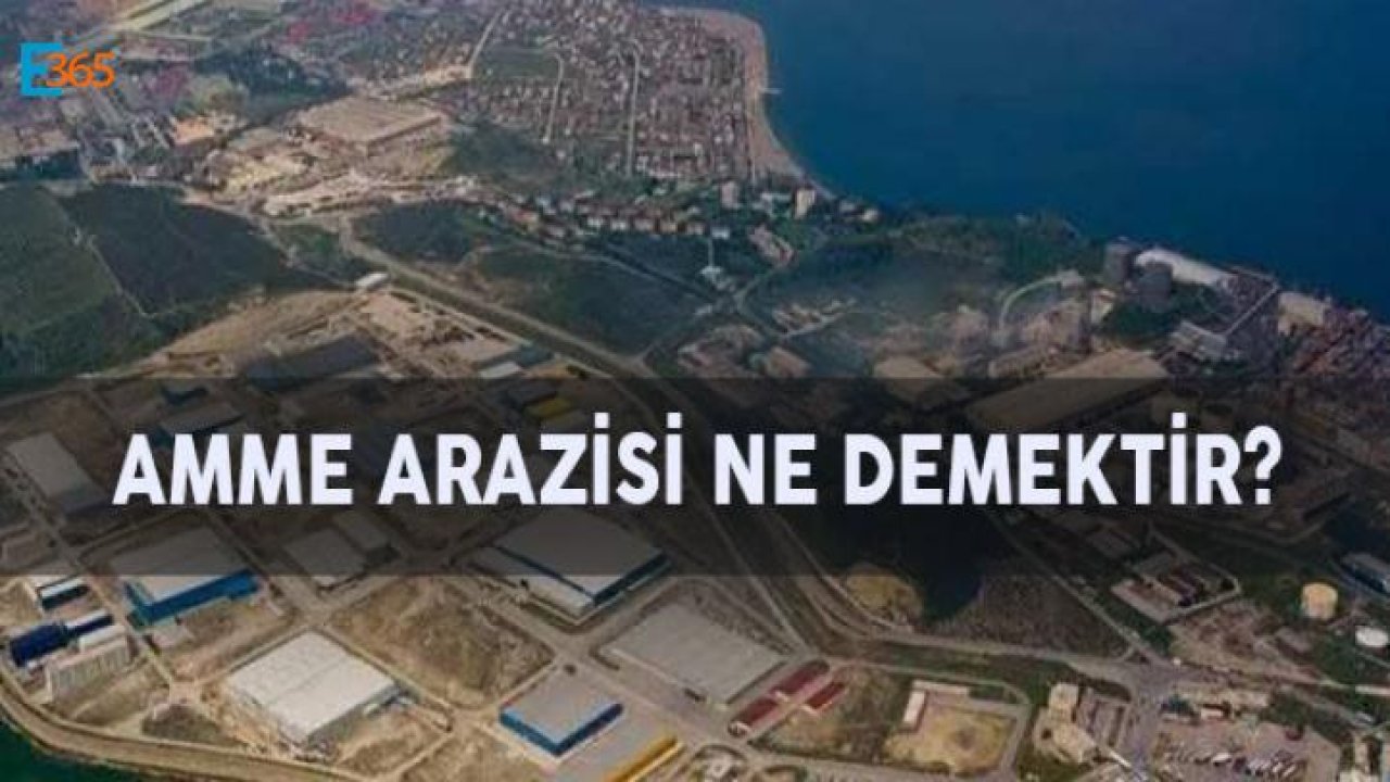 Amme Arazisi Nedir?