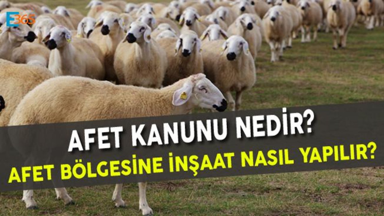 Afet Kanunu Nedir? Afet Bölgesine İnşaat Nasıl Yapılır?