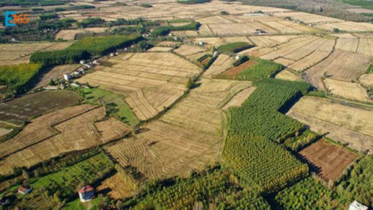 Malatya ve Van'da Büyük Ova Koruma Alanı İlanları Resmi Gazete Duyurusu