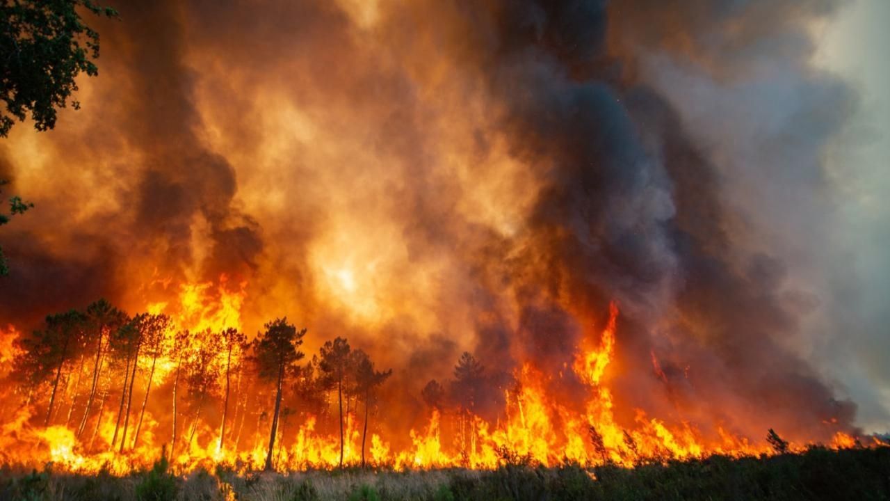 Adana, İzmir, Bolu ve Ankara'da orman yangını! Söndürme çalışmaları devam ediyor