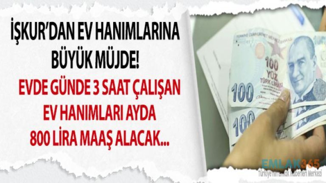 İŞKUR'dan Ev Hanımlarına Müjde! Günde 3 Saat Çalışan Ev Hanımlarına 800 Lira Maaş