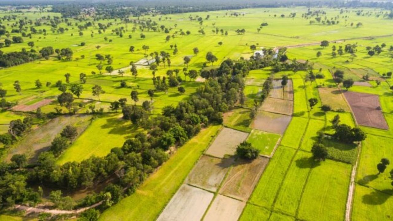 Malatya'da 9 arsa ve arazi 20 bin lira teminat ile satışa çıkarıldı!