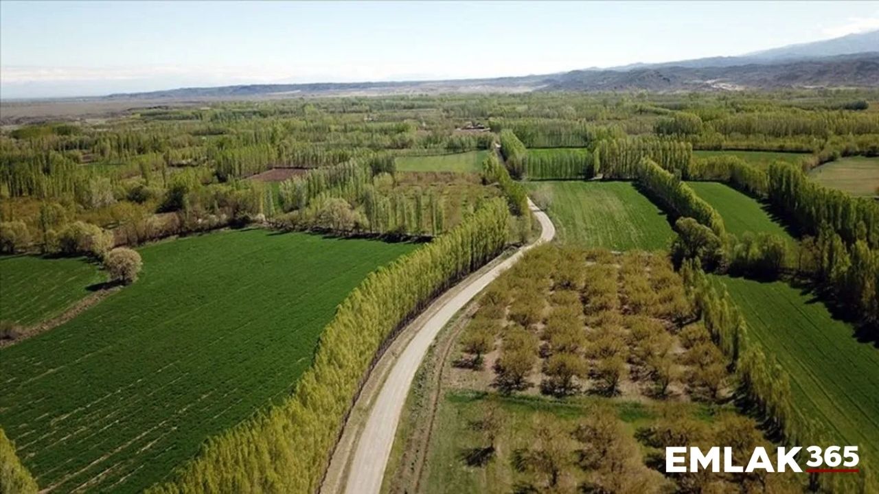 2B Arazisi almak isteyenlere uzmanından uyarı geldi!