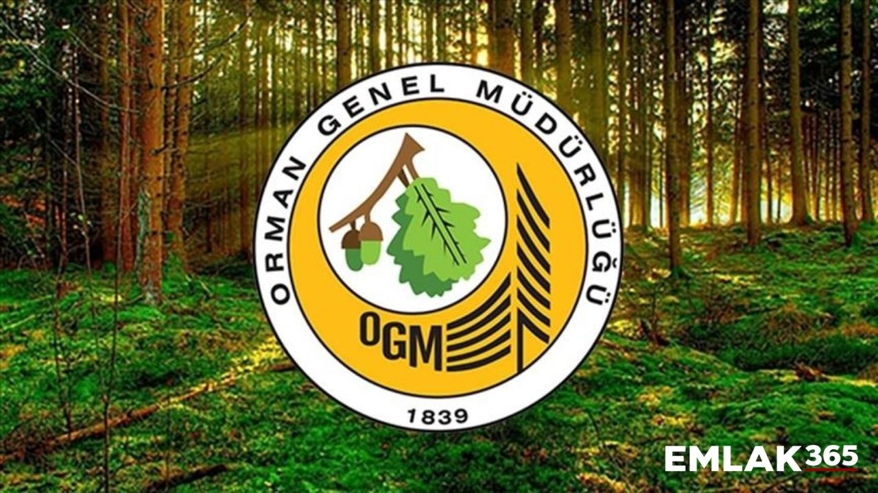 Başvuru için son günler! OGM 150 sözleşmeli mühendis alacak