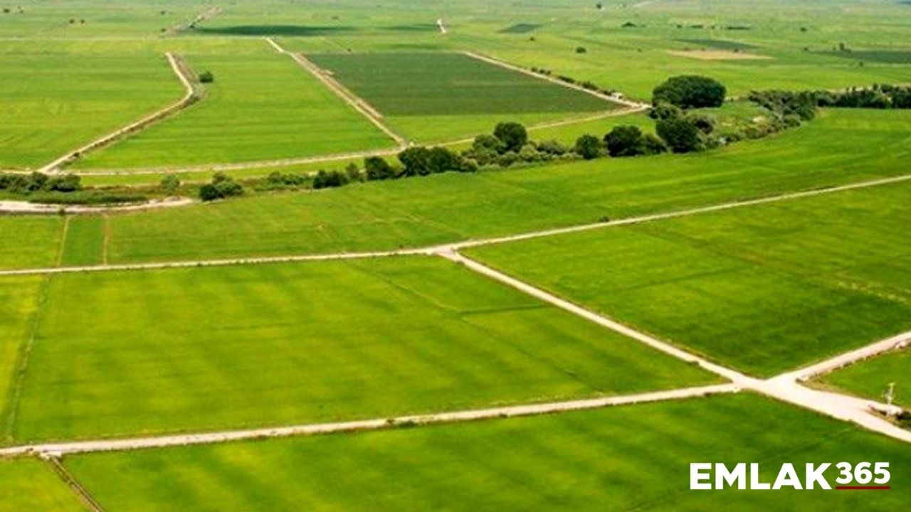 Milli Emlak'tan 20 bin liraya arazi ve arsa satışları başladı!