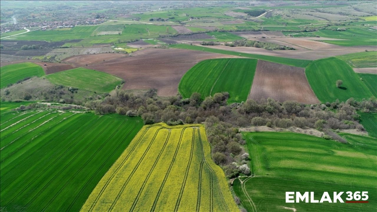 Milli Emlak sudan ucuz fiyatlara satışa başladı! Arsalar 15 bin liraya satışa çıktı