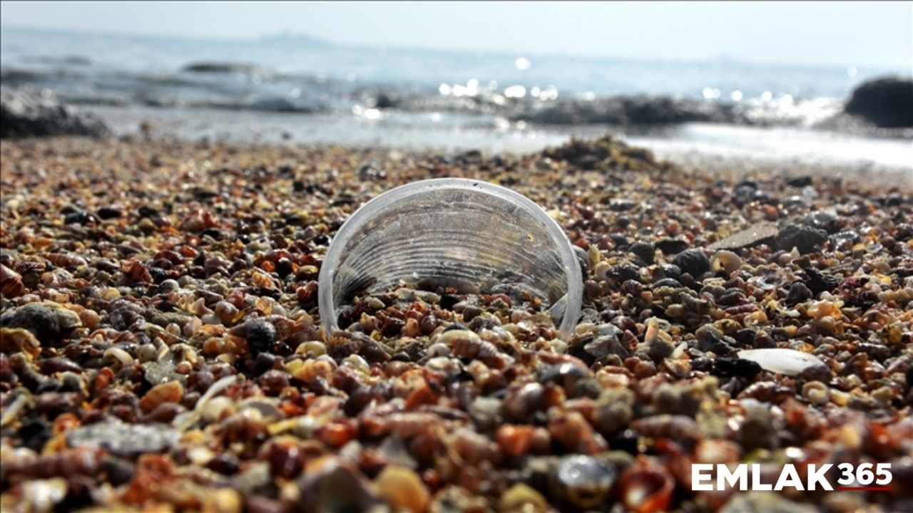 Tek kullanımlık plastikler ve deniz atıklarıyla mücadelede yeni yol haritası açıklandı!