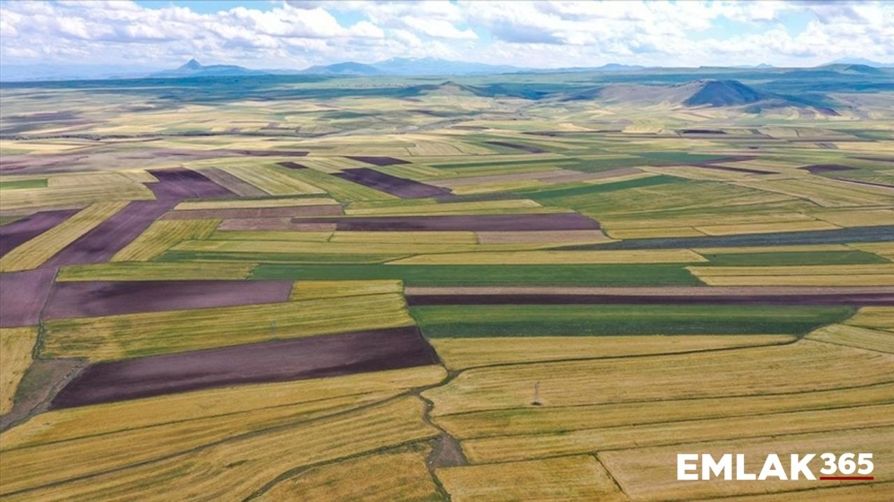 46 İlde 460 gayrimenkul satışı yapılacak!