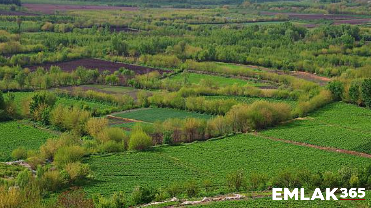 Bursa'da 555 milyonluk dev arsa satışı!