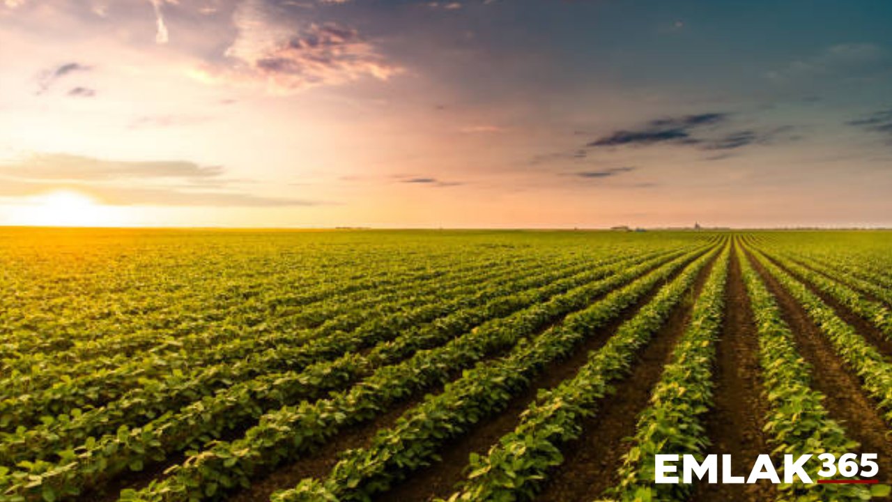 Tarım arazilerinde kiralama dönemi resmen başlıyor