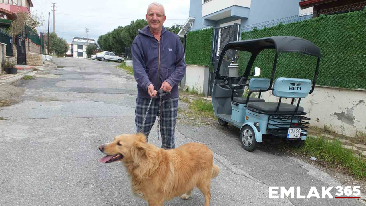 Emlak danışmanının hayvan sevgisi takdir topladı