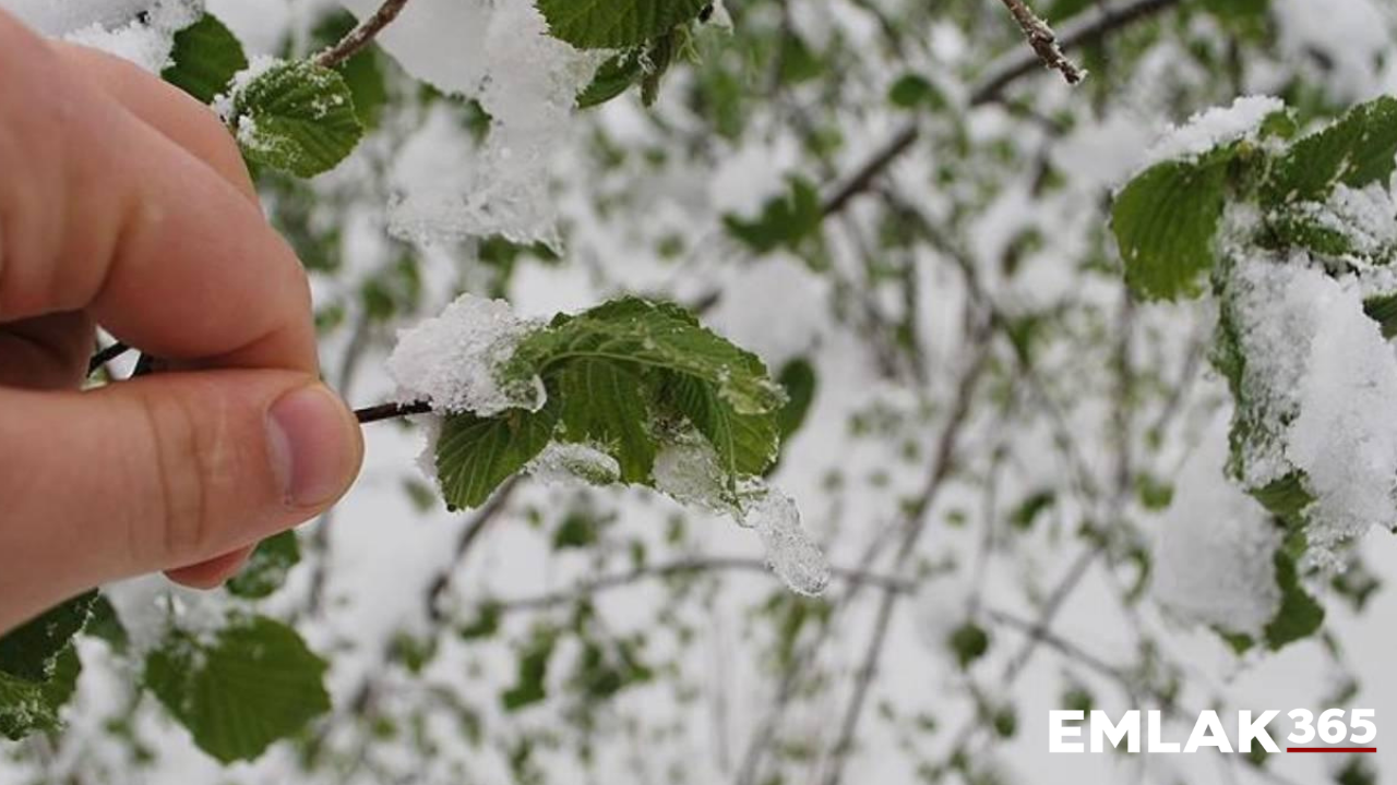 Ankara’da tarım alanları için kritik uyarı: Zirai don geliyor