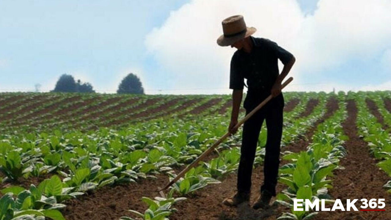 Köye dönüş projesine katliam gençlere devlet maaş bağlayacak