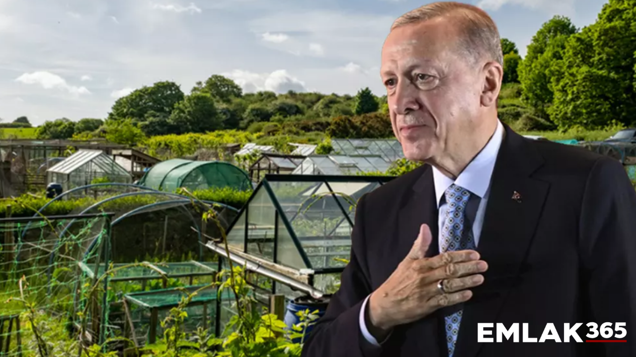 Tarım arazilerine yapılan villalar yıkılacak