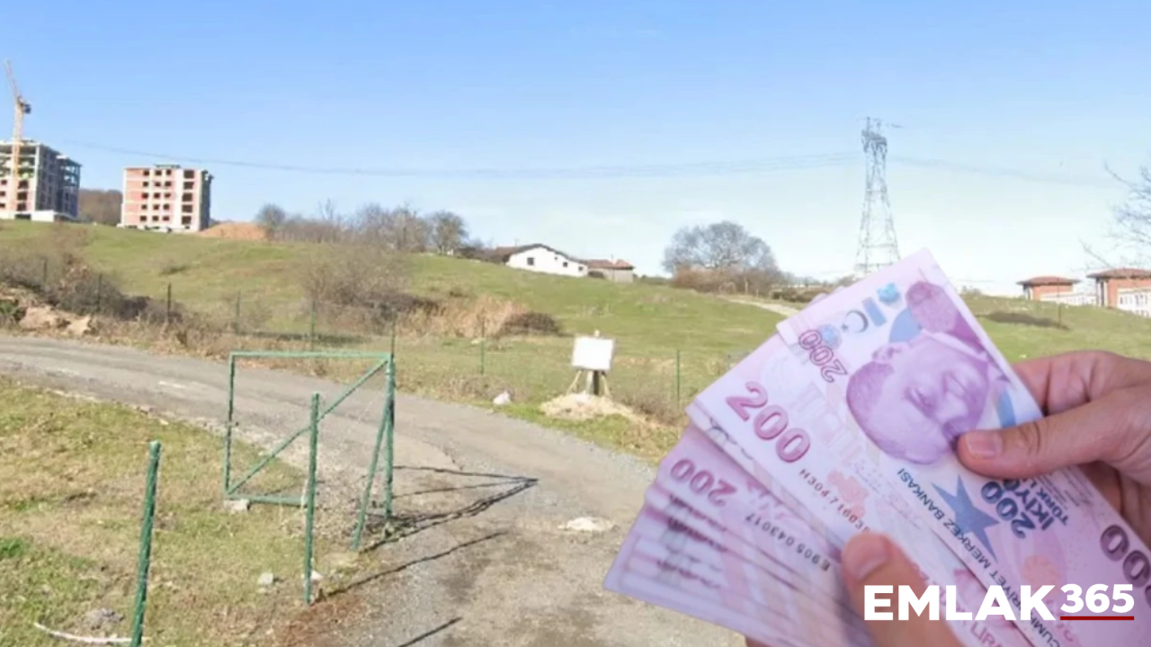 İstanbul'da 300 milyon liralık tarla ihalesi başlıyor