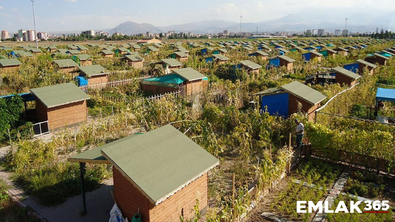 21. yüzyılın modern gecekonduları 'hobi bahçeleri' yıkım kıskacında