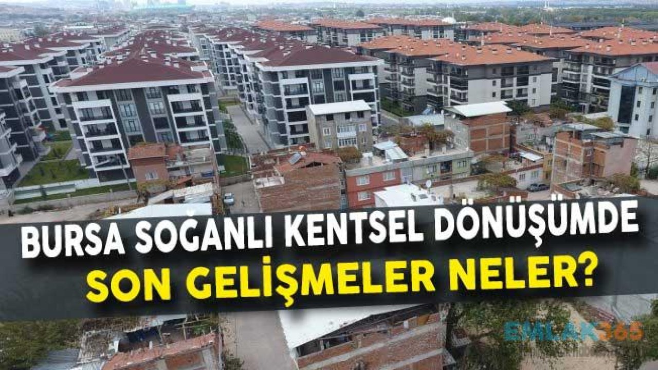 Bursa Soğanlı Kentsel Dönüşüm Son Gelişmeler Neler?