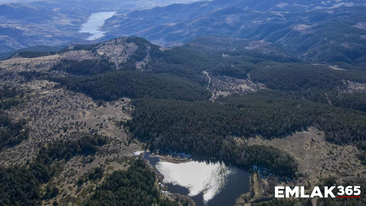 Ankara’da ormanlara girişe yangın önlemi: 30 Eylül’e kadar yasaklandı