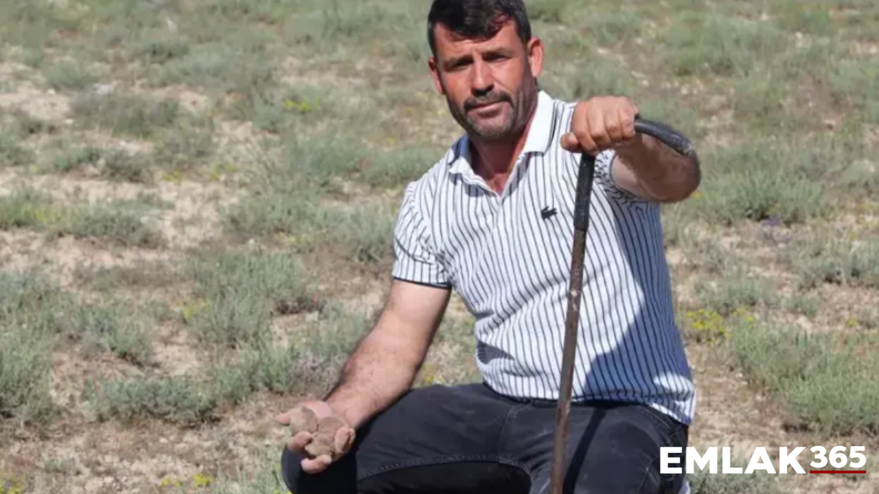 Boş araziden servet çıkıyor: Demir çubukla bulduklarıyla ev, arsa aldı
