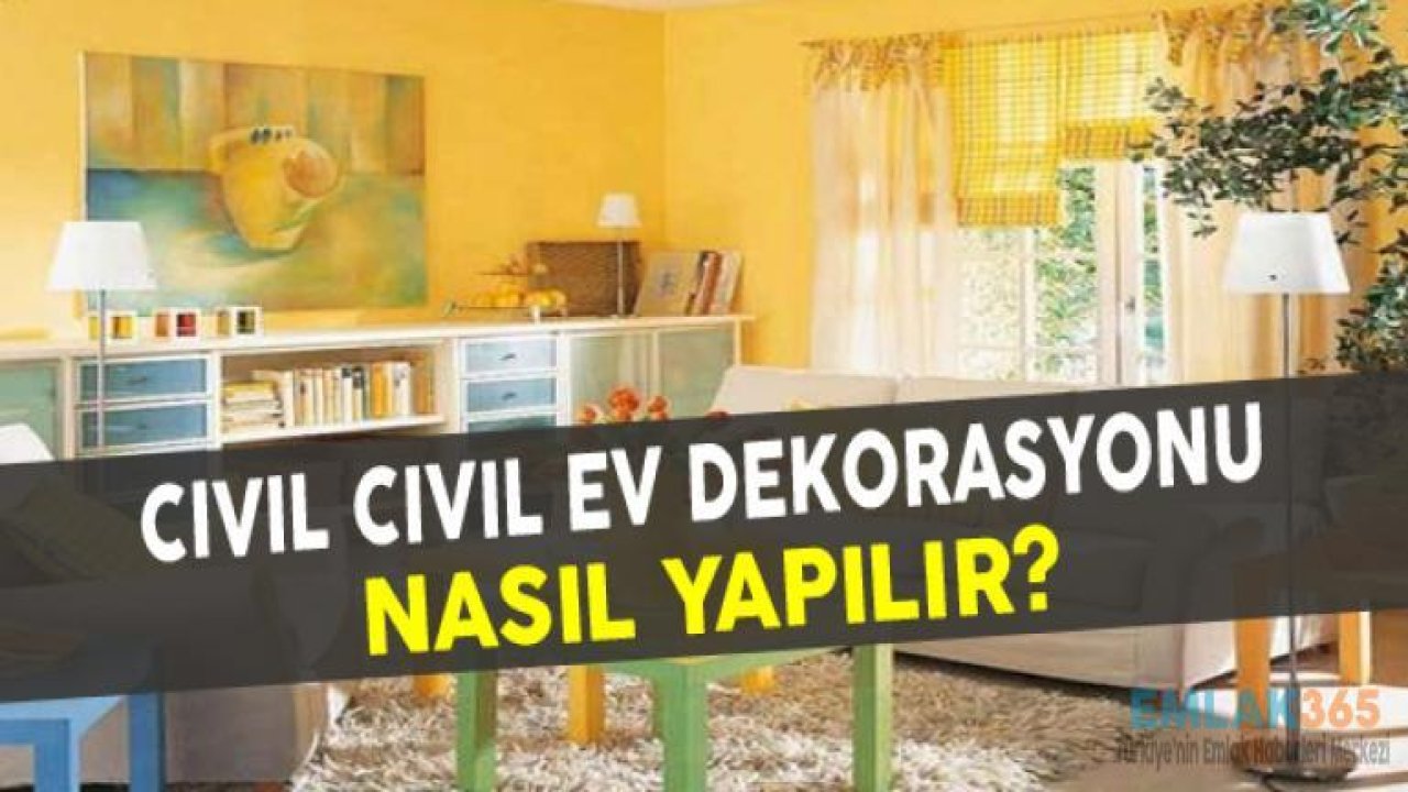 Cıvıl Cıvıl Bir Ev Olur Mu?