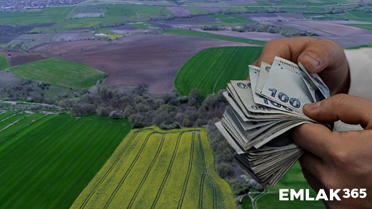 Arsa satışları yüzde 40 paya ulaştı