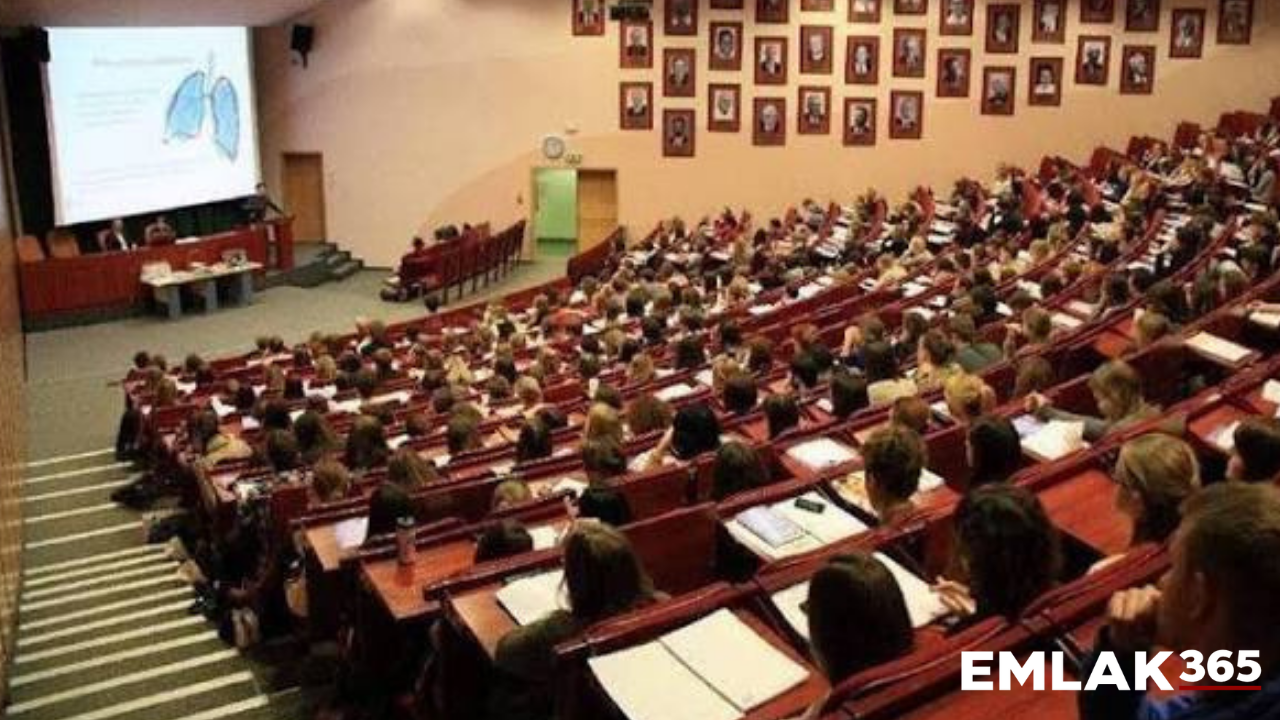 Üniversite diploması iş garantisi olmuyor! Her 5 mezundan 1'i işsiz