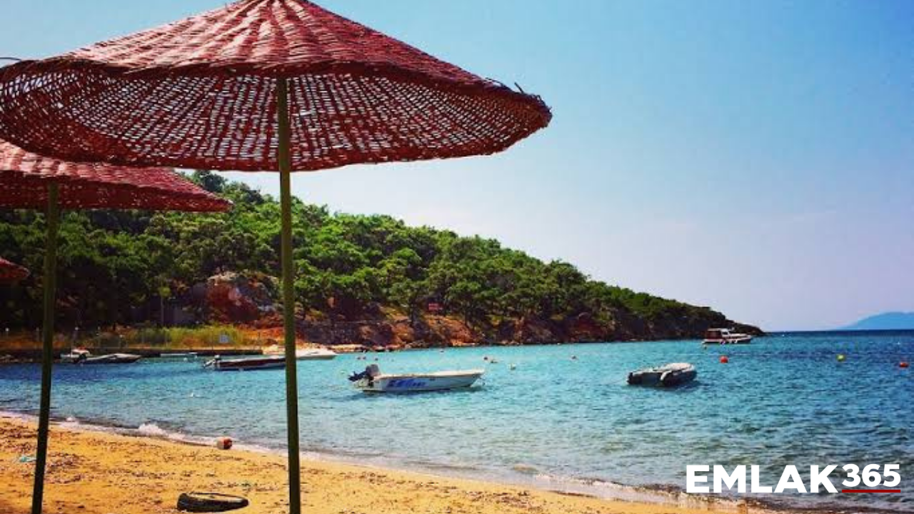 Plajlarda yeni dönem: Bakanlık da devreye giriyor