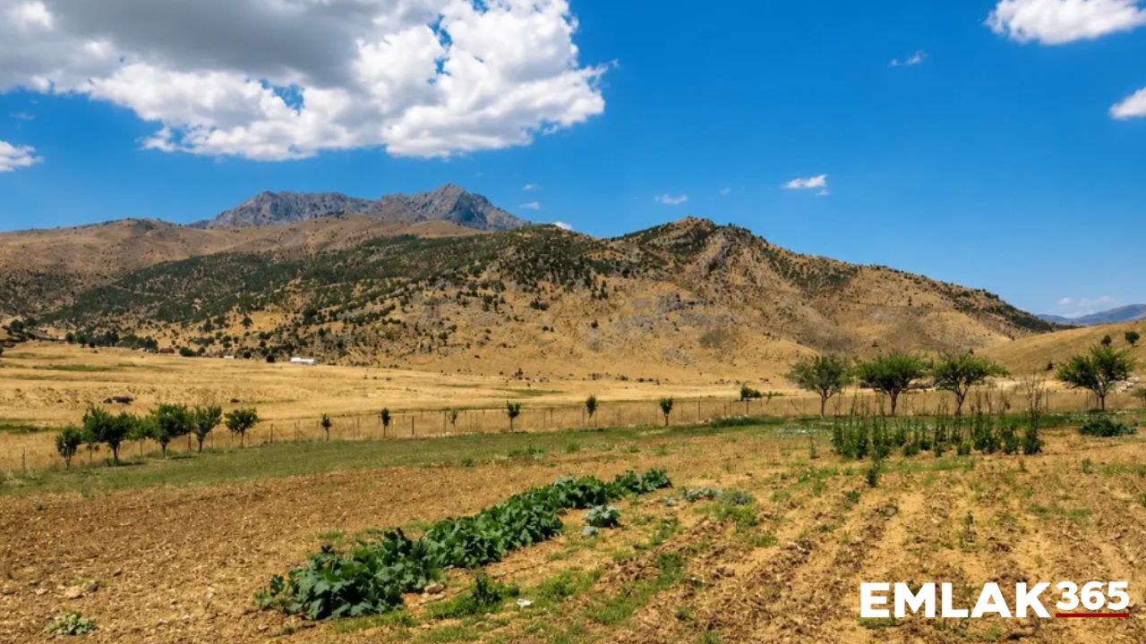 Köyün il değiştirmesi krize dönüştü: Sakinler yeniden Bitlis'e bağlanmak istiyor
