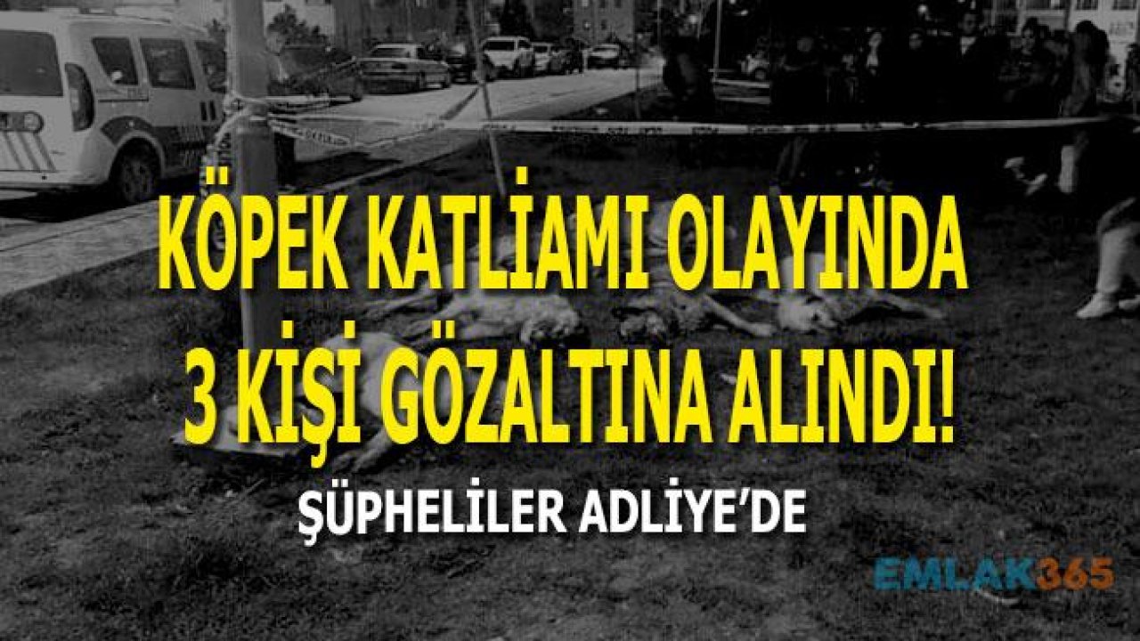 Köpek Katliamı Olayında 3 Kişi Tutuklanma Talebiyle Mahkemeye Sevk Edildi