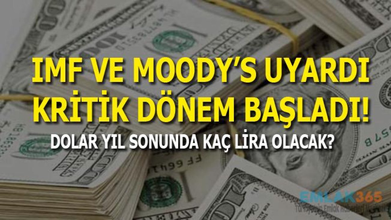 IMF ve Moody's Türkiyeyi Uyardı! Dolar Yükselir Mi Düşer Mi, 2019 Dolar Tahmini