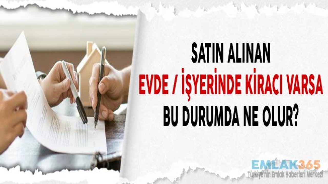 Satın Alınan Evde / İşyerinde Kiracı Varsa Bu Durumda Ne Olur?