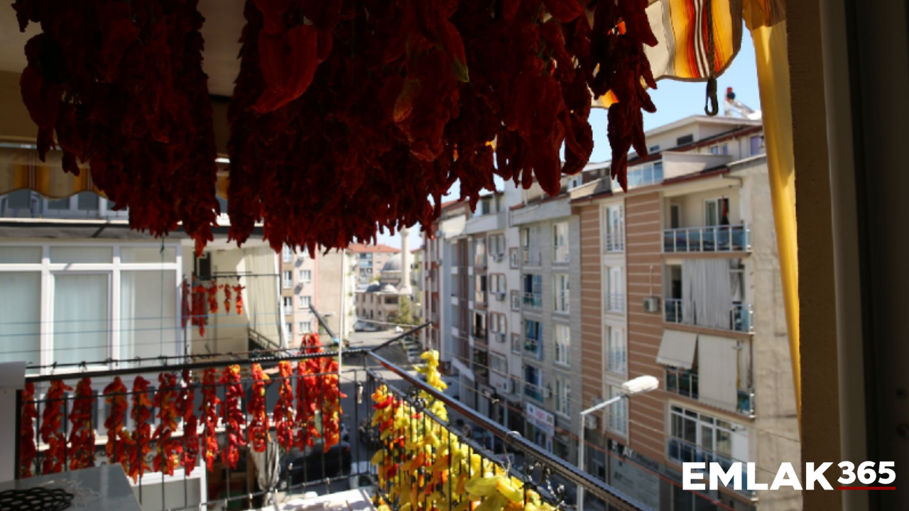 Balkonda başladı, 2 tonluk üretime ulaştı