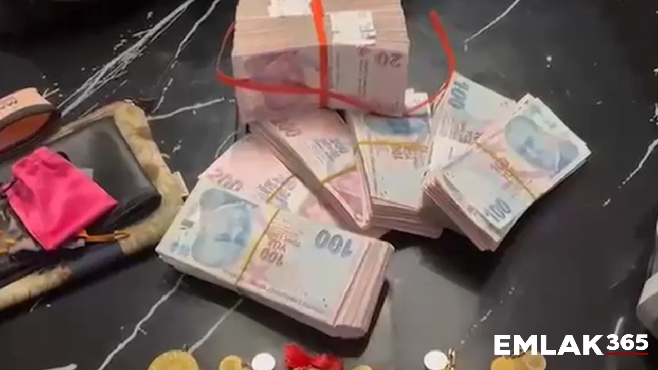 Belediye başkan yardımcısının 1.630 taşınmazı çıktı
