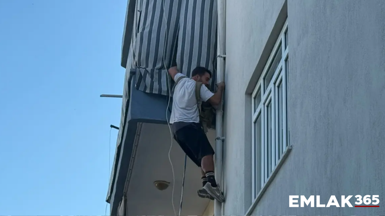 Ev sahibi kendi evini yaktı: Kiracı, alevlerin arasından kediyi kurtardı