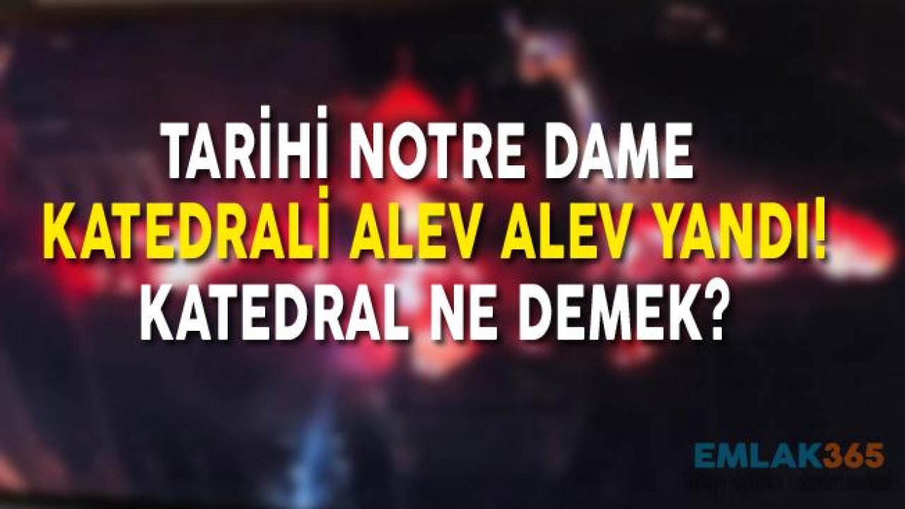 Tarihi Notre Dame Katedrali Yangın İle Kül Oldu!