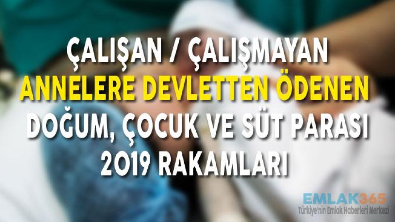 Çalışan Çalışmayan Anneye Doğum Parası, Süt Parası ve İş Görememezlik Yardımları Kaç Lira?