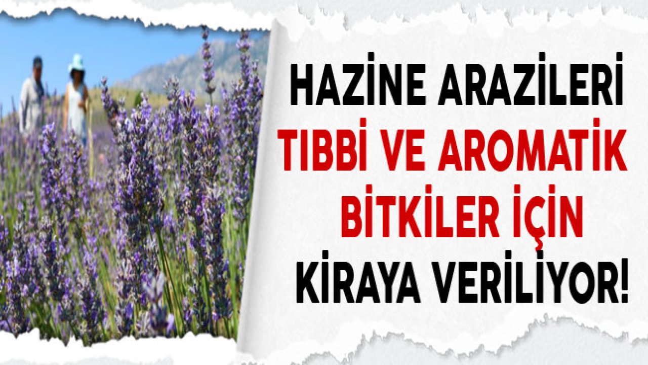 Bakan Kurum "Tıbbi ve Aromatik Bitkiler İçin 5 Milyon Metrekare Alan Kiralandı!"