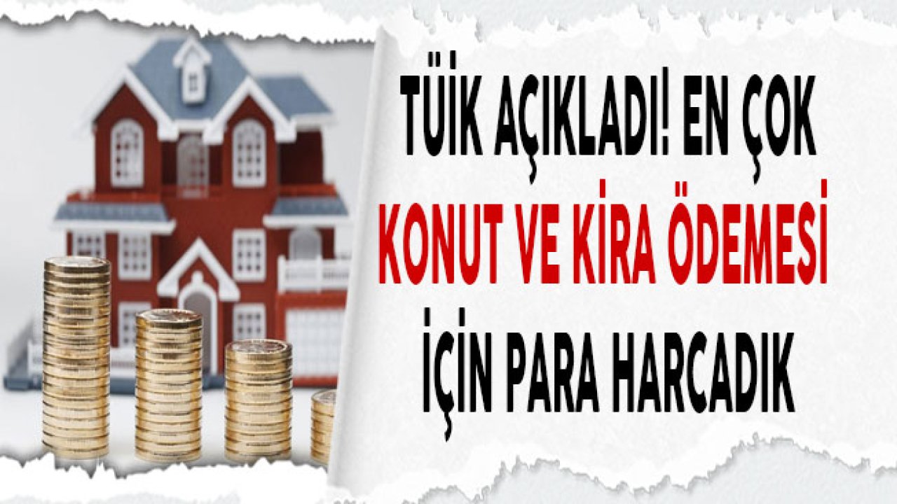 TÜİK Açıkladı! En Çok Konut ve Kiraya Para Harcadık!